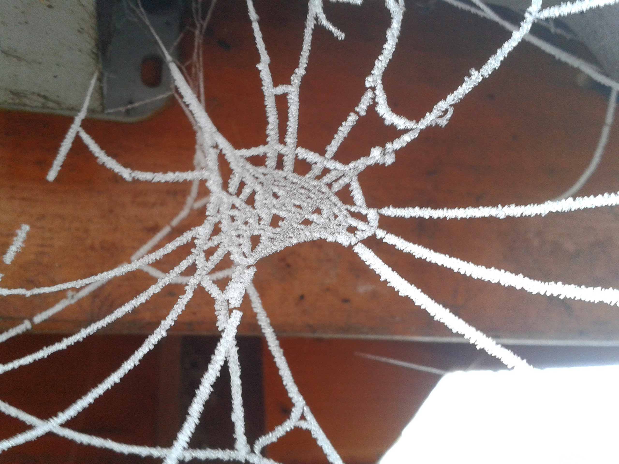 Den Winter überlebt wird auch die Konstrukteurin dieses Netzes nicht haben. Dafür ist das Gespinst im Frost besonders skuril erhalten. Kurzfristig. Aber schön.